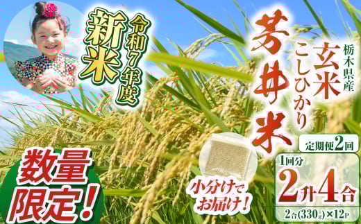 【定期便2回】【数量限定】【令和7年度新米先行予約】新米那珂川町産芳井米 玄米 330g（2合分）×12 | こしひかり 新米 米 ごはん  ふっくら もちもち  ふるさと納税 那珂川町 栃木県
