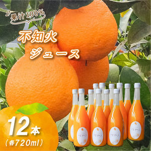 不知火ストレート果汁100％ジュース 720ml×12本 | 数量選択可 みかん ミカン 蜜柑 柑橘 数量限定 愛媛県産 松山市 中島 愛媛 ふるさと納税【NO104】