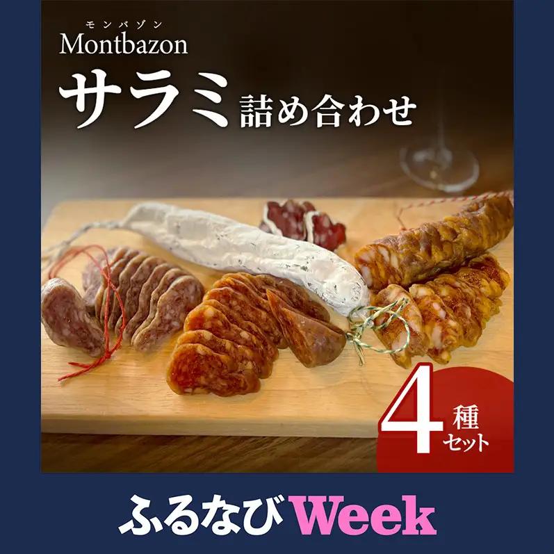 【ふるなびWEEK対象】サラミ 4種 セット ゴシック シャルキュトリー ソーセージ ウィンナー ウインナー 燻製 詰め合わせ ギフト 贈答 贈答品 肉 お肉 豚肉 豚 ポーク 熟成肉 加工食品 加工品 白カビ おつまみ 酒のつまみ 愛知県 日進市
