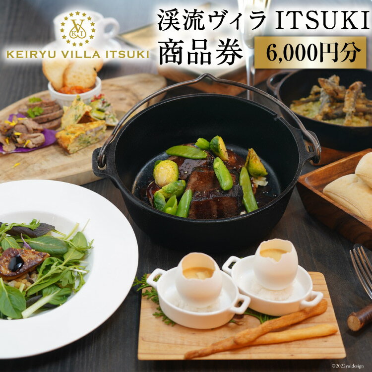 【ふるさと納税】 商品券 渓流ヴィラITSUKI 6,000円分 食事券 [渓流ヴィラITSUKI 熊本県 五木村 51120312] お食事券 食事券 食事 商品券