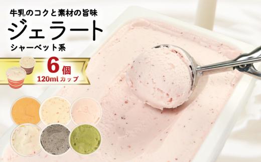 ジェラート 詰め合わせ 120ml 選べる 個数 6個  シャーベット系 のみ  冷凍 フルーツ ギフト プレゼント 贈答 お取り寄せ グルメ 季節限定 冷凍 徳島県 吉野川市 株式会社マイスター社