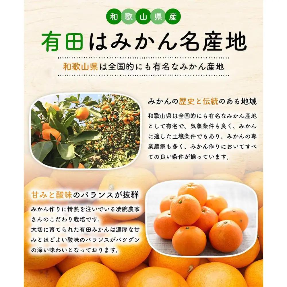 【ご家庭用】 完熟有田みかん 約3kg　訳ありみかん［MS3-2］