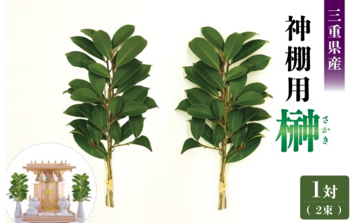 神棚用 榊  1対（2束）約25cm 神棚 さかき お供え 生花 本榊 サカキ 仏花 神具 国産 斎宮の榊
