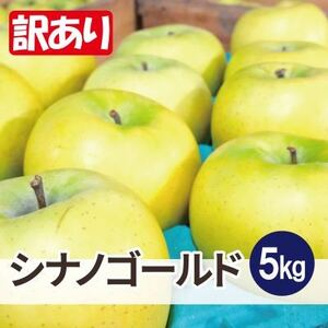 【26年1月より順次発送】平均糖度13度以上! シナノゴールド 約5kg 訳あり【配送不可地域：沖縄県】【1610144】