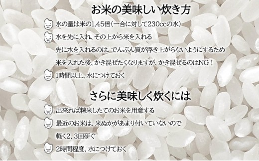 【先行受付】令和8年産 ななつぼし15kg(5kg袋×3個)北海道  特A 精米 米 白米 ご飯 お米 ごはん 国産 ブランド米 おにぎり ふっくら 常温 お取り寄せ 産地直送 農家直送 送料無料 月