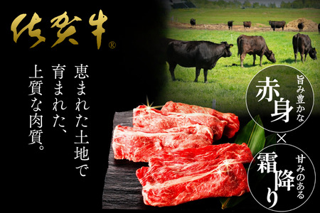 佐賀牛 肩ローススライス 600g：B205-014