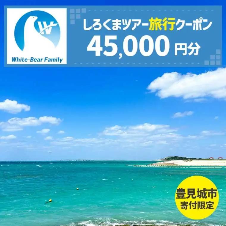【豊見城市】しろくまツアーで利用可能なWEB旅行クーポン(45,000円分)（CV008）