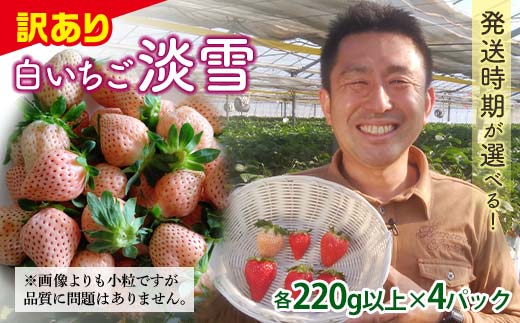 ＜訳あり品＞ 群馬県産白イチゴ「淡雪」(各220g以上×4パック)【2026年3月1日?5月15日発送】 小粒 訳あり 白いちご 淡雪 群馬県産 苺 イチゴ 淡雪 詰合せ 果物 フルーツ 食品 F21E-253