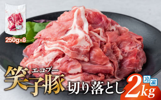 豚肉 切り落とし 小分け 2kg (250g×8) 真空パック 冷凍 笑子豚  岩手県 金ケ崎町 令和6年1月以降順次発送