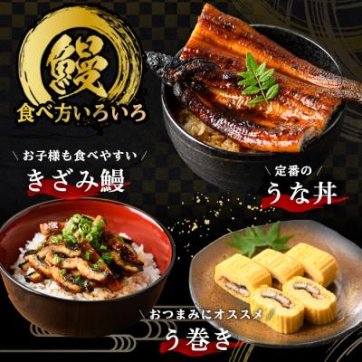 ふるさと納税 いちき串木野市 【令和7年お歳暮対応】厳選! 国産(鹿児島県産)うなぎ蒲焼 大 4尾 約640g |  | 01