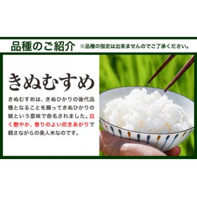 ふるさと納税 笠岡市 【令和8年6月発送】令和7年産 備中笠岡ふるさと米10kg |  | 03