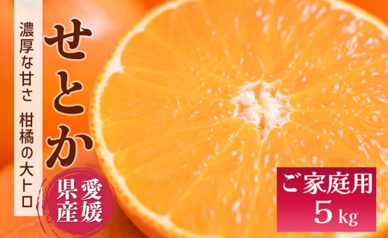 せとか バラ詰め 5kg【2026年3月以降発送】 愛媛 数量限定 愛媛県産 人気 柑橘 伊予市｜C55