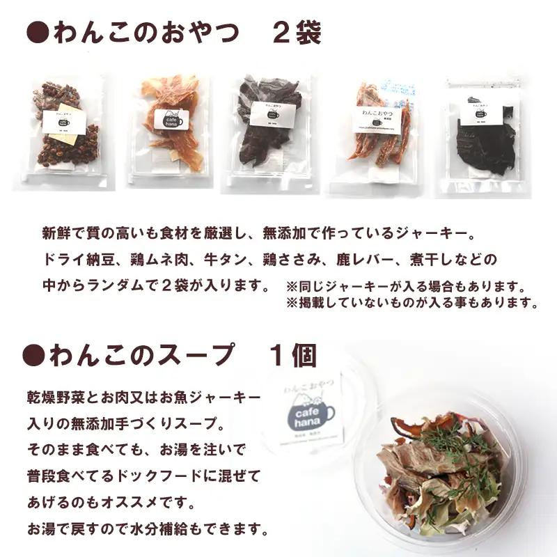 【定期便6回】わんこのお弁当セット Lサイズ