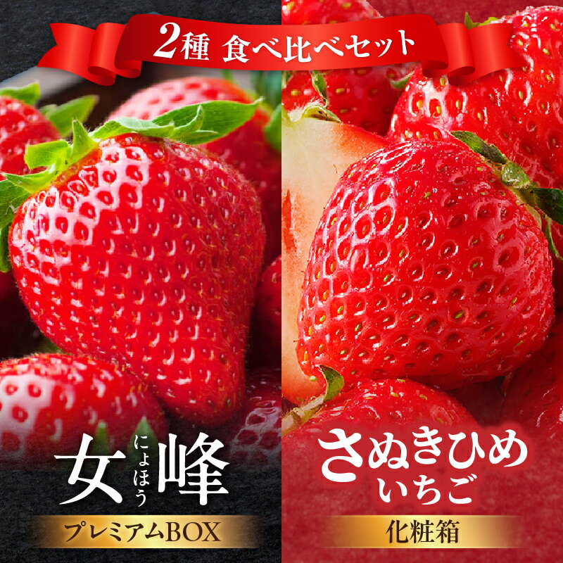 【ふるさと納税】【数量限定】厳選いちご2種 食べ比べセット いちご 果物 フルーツ さぬきひめ 女峰 贈答 食べ比べ いちご食べ比べ 厳選 贈り物 ギフト 旬 旬の果物 ご褒美 デザート 化粧箱 苺 旬のいちご フルーツ食べ比べ 香川県 三木町 送料無料