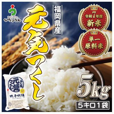 ふるさと納税 春日市 JAよりお届け!福岡県ブランド米「元気つくし」5kg(春日市)