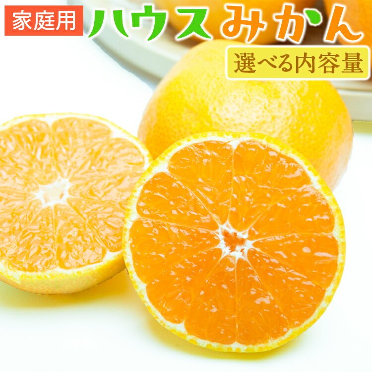 【ふるさと納税】＼選べる内容量／ 家庭用 ハウスみかん