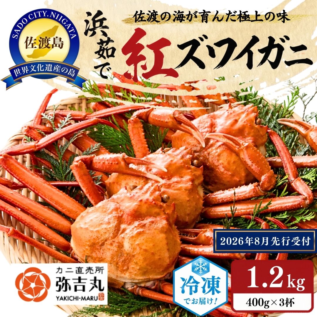 【ふるさと納税】『冷凍』佐渡島直送！浜茹で紅ズワイガニ（1杯400g/3杯）ふるさと納税 ※2026年8月以降より順次発送