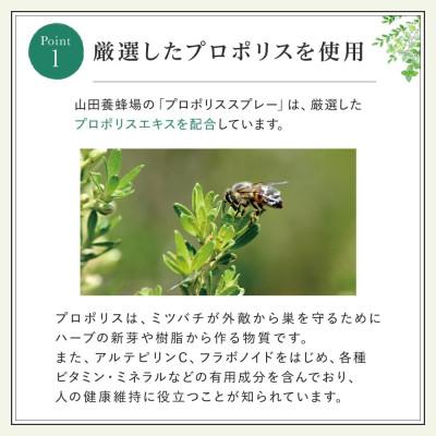 ふるさと納税 津山市 プロポリススプレー(11104) |  | 02