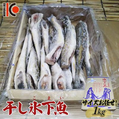 ふるさと納税 釧路市 干し氷下魚(サイズお任せ)1kg こまい コマイ 魚 白身魚 おつまみ 肴 おかず F4F-5165