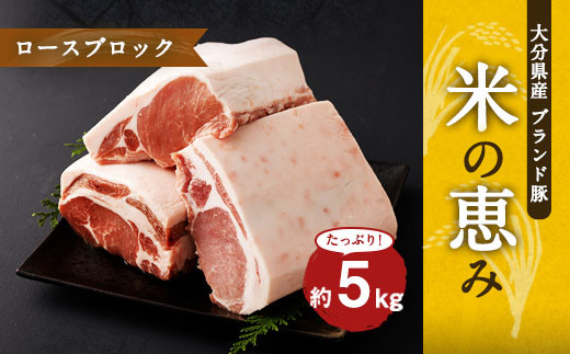 
                  大分県産ブランド豚 奥豊後豚（米の恵み） ロースブロック 5kg (2.5kg×2) 豚ロース 豚肉
                