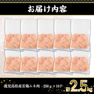 鹿児島県産若鶏ムネ肉(計2.5kg・250g×10P) 若鶏 ムネ 冷凍【株式会社羽根】A574
