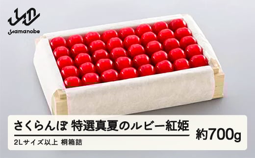 《先行予約》2025年 山形県産 特選「真夏のルビー紅姫」 桐箱詰め約700g やまのべ多田耕太郎のさくらんぼ サクランボ F20A-059