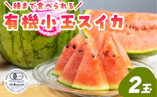 ＜8月から寄附額改定＞《令和8年産先行予約》 有機栽培 スイカ ピノガール 2玉 小玉スイカ 農家直送 ピノ・ガール スイカ 有機JAS認証 有機 すいか 西瓜 果物 フルーツ 野菜 8月 9月 10月 夏  2026年発送 オーガニック スイカ 先行予約 Mt.Organic すいか