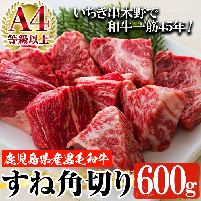 【ふるさと納税】鹿児島県産黒毛和牛！A4等級以上！尾崎牧場産黒毛和牛スネ肉角切り(600g) 国産 鹿児島県産 和牛 牛肉 すね肉 お肉 角切り 煮込み【バクロ】