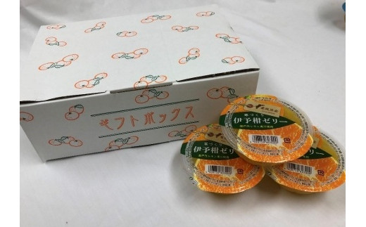 伊予柑 ゼリー 12個 セット | ゼリー ぜりー 柑橘ゼリー みかんゼリー 果物 スイーツ いよかん 伊予柑 愛媛県 松山市