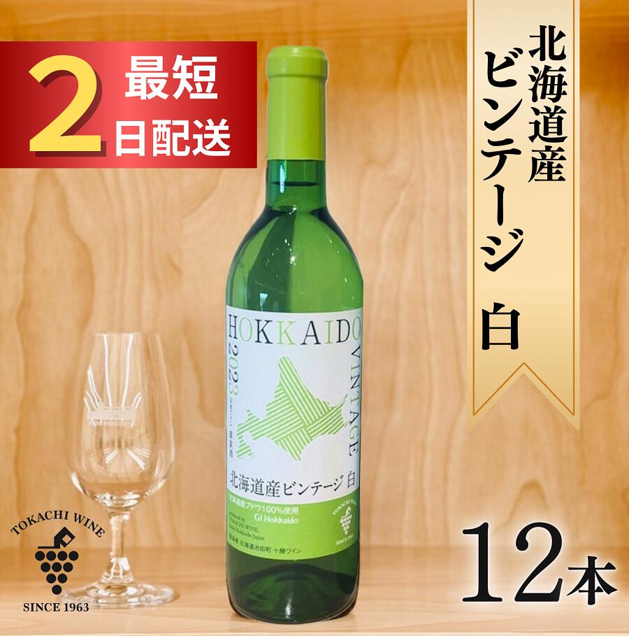 【ふるさと納税】十勝ワイン 北海道産ビンテージ白 12本 最短申込みから2日発送 国産ワイン 北海道ワイン 北海道池田町 池田町 ふるさと納税 送料無料 ワインセット