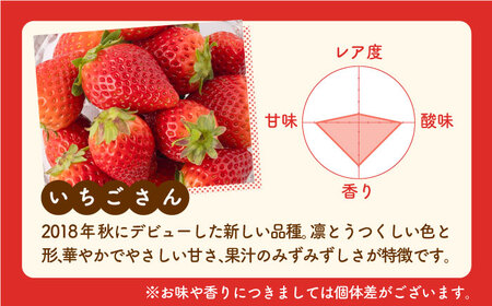 【先行予約】【農家直送】いちごさん（240g×2パック） /甘〜いいちご お試しパックいちご イチゴ 苺 佐賀県産いちご ブランドいちご いちごさん うつくしい色と形のいちご 華やかでやさしい甘さのい