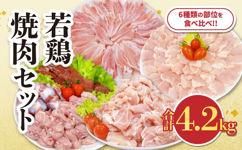 
                  若鶏 焼肉 セット 合計4.2kg 鶏肉 国産 チキン 鶏もも肉 切身 肝 砂肝 小肉 手羽中 チキンリブ 肩肉 人気 小分け 便利 おかず お弁当 おつまみ 食品 真空パック BBQ 唐揚げ お取り寄せ おすすめ ご褒美 記念日 お祝い おすそ分け 日南市 宮崎県 送料無料_DA62-26
                