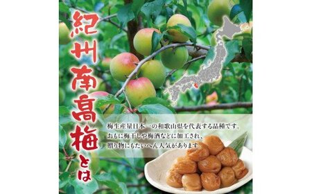 紀州南高梅　ええ塩梅　梅肉仕立てパック入 ×　18袋（25g/1袋）なかやまさんちの梅干　うめ　ウメ　【nky016】