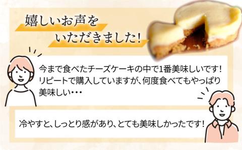 無添加チーズの櫻井チーズケーキ【10個入り】糸島手作り工房 爽風 [ATA004]