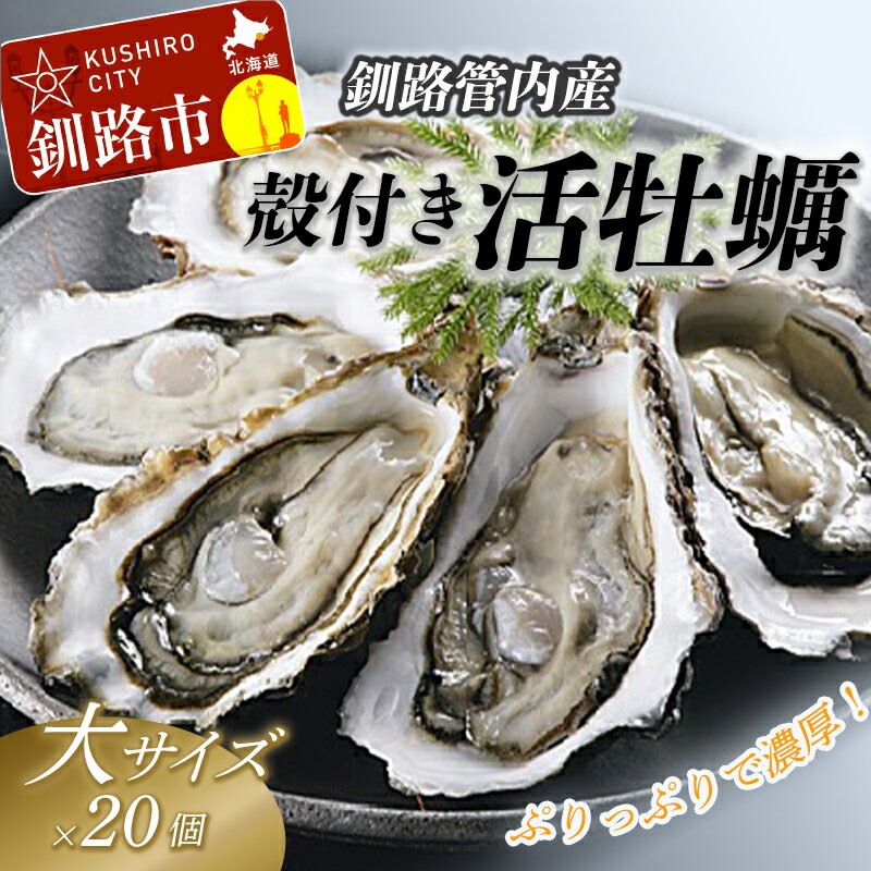 【ふるさと納税】【ぷりっぷりで濃厚！】釧路管内産【活】牡蠣（大）20個 北海道 釧路 ふるさと納税 牡蠣 貝 海 ミルク 魚介 かき