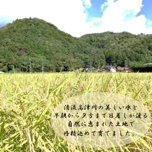 令和7年産　吉賀町広石産きぬむすめ　清流高津川のお米　精米10kg【1679151】