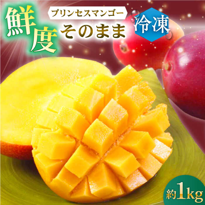 【ふるさと納税】【先行予約】【冷凍】プリンセスマンゴー 約1kg[QAT013] プリンセス マンゴー ぷりんせすまんごー 完熟 マンゴー 高品質マンゴー まんごー フルーツ 果物 フルーツ マンゴー 人気 12,000円 1万2千円