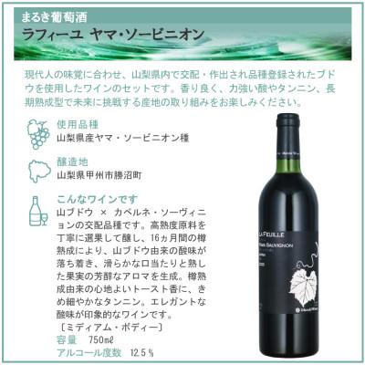 ふるさと納税 山梨県 山梨県作出ブドウ 甲斐ノワール&ヤマ・ソービニオン 2本セット |  | 02