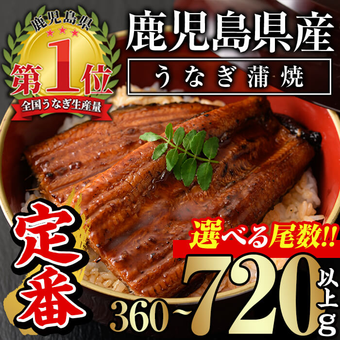 【ふるさと納税】＜尾数が選べる！＞無投薬！鹿児島県産うなぎ蒲焼セット＜定番＞(計360g以上〜計720g以上・ 約120g×3尾〜6尾) タレ・山椒付き 鰻 ウナギ 3尾 6尾 うな重 ひつまぶし かばやき 九州産 国産 冷凍【西日本養鰻】