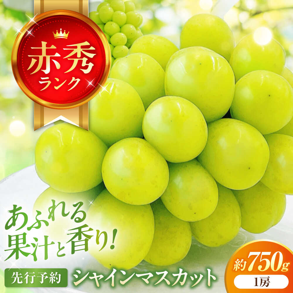 【ふるさと納税】【先行予約】内子町産 シャインマスカット 赤秀 1房入 750g以上 ＜2026年8月下旬から発送＞【北海道・沖縄配送不可】 ／ シャインマスカット マスカット 皮ごと 葡萄 ブドウ 旬 フルーツ 果物 くだもの【株式会社フジ・アグリフーズ】[BKAY007] 11000円