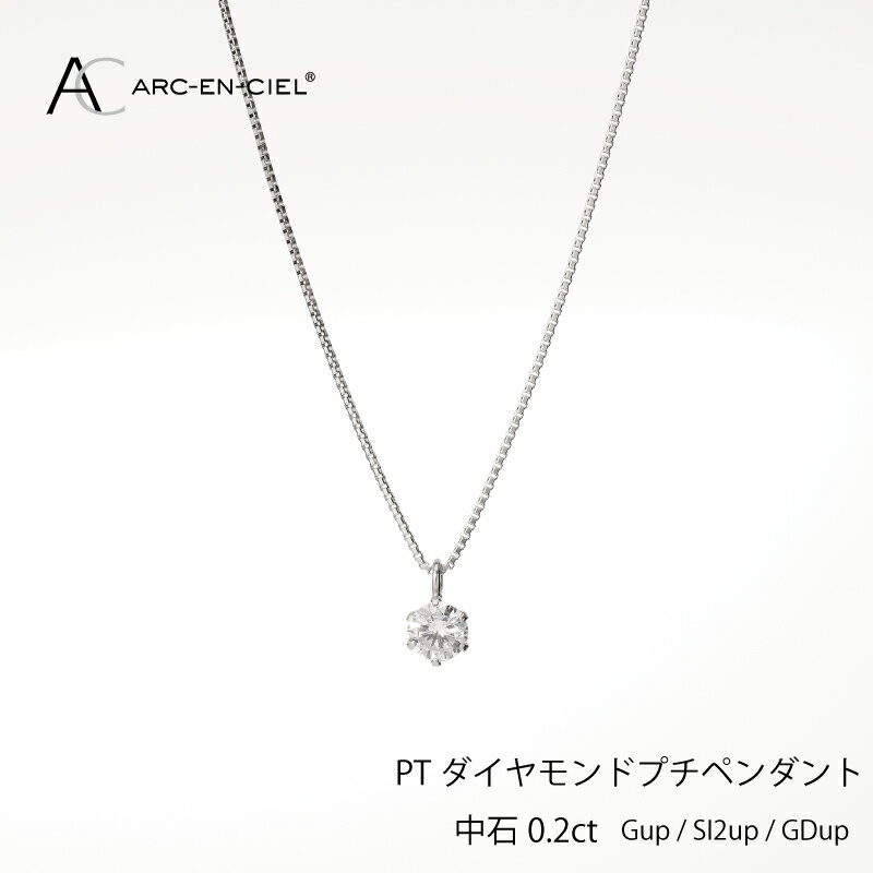 【ふるさと納税】【8/1～価格改定】 ダイヤモンド ペンダント ネックレス 計 0.2ct プラチナ ジュエリー アルカンシェル アクセサリー 宝石 プレゼント レディース ギフト 女性 鑑別書付き