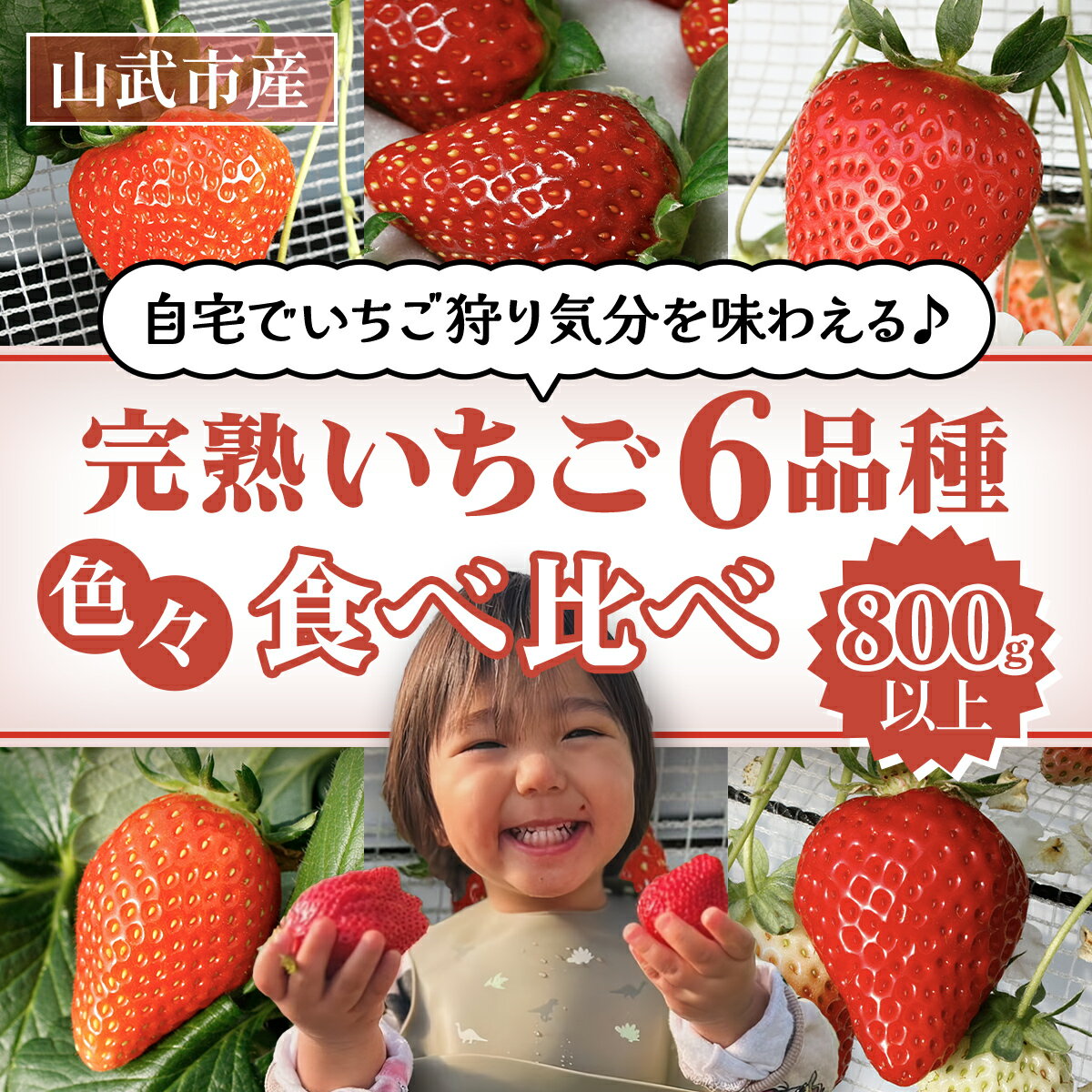 【ふるさと納税】選べる配送月 自宅でいちご狩り気分! 完熟いちご6品種食べ比べセット 800g以上 ／いちご イチゴ 苺 果物 くだもの フルーツ 旬のくだもの 季節のフルーツ 食べ比べ 詰め合わせ セット 希少品種 千葉県 山武市 SMB002