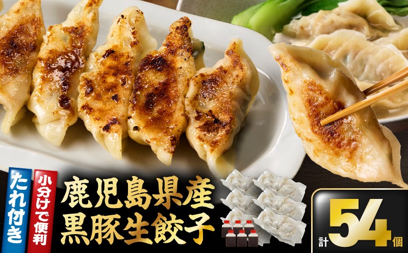 
                  【のし対応可】鹿児島県産 黒豚生餃子（20g×9個×6袋）　KN065-001_SKU
                