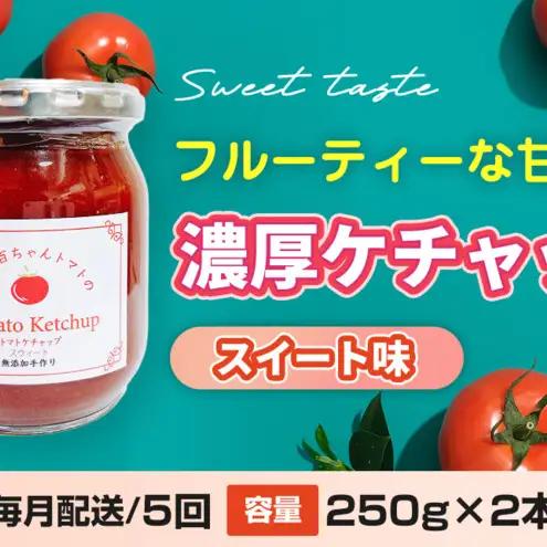ケチャップ濃厚スイート味八百ちゃんトマトケチャップ【250g×2本】【定期便全5回】