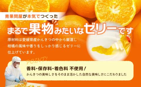 ゼリー ちゅうちゅうゼリー 16本セット菓子 愛媛県松山市 愛媛県 松山市 愛媛 松山 常温 常温便 常温配送 常温発送