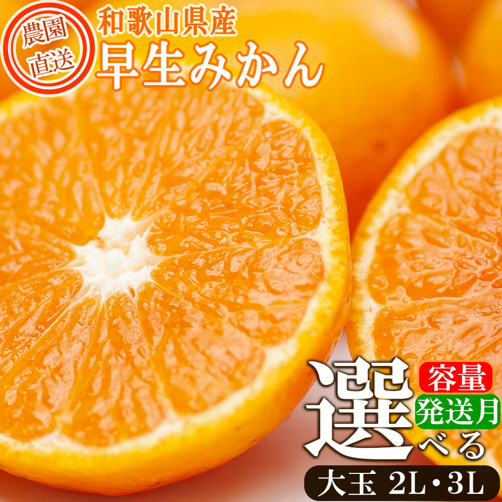 【ふるさと納税】【選べる発送月・内容量】早生みかん約6~9kg 大玉2L・3Lサイズおまかせ 《ご家庭用》 ちょっと訳あり 和歌山県産 農園直送 まごころ産直みかん【北海道・沖縄県・一部離島配送不可】大きい 蜜柑 温州みかん わけあり 訳アリ | 果物 フルーツ 柑橘 わせ 早生