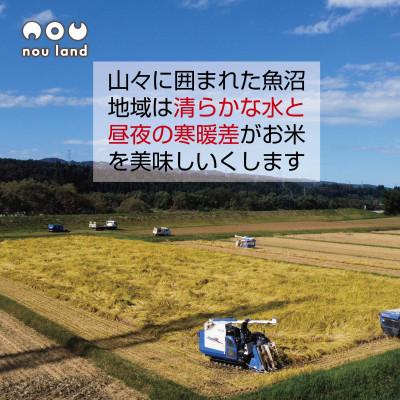 ふるさと納税 十日町市 【令和7年 予約】 農家直送 魚沼産 コシヒカリ 4kg 新潟県 十日町市 のうランド |  | 02