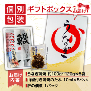 【価格改定予定】【6カ月定期便】国産 うなぎ 蒲焼 鰻 たっぷり 5尾 約500g 肝 佃煮 おまけ付き ギフトボックス セット 老舗 専門店 うなぎ処京丸 （ 鰻 うなぎ 鰻定期便 うなぎ定期便 鰻