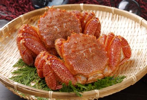 【北海道根室産】浜ゆで毛がに300g～400g×2尾 F-05006