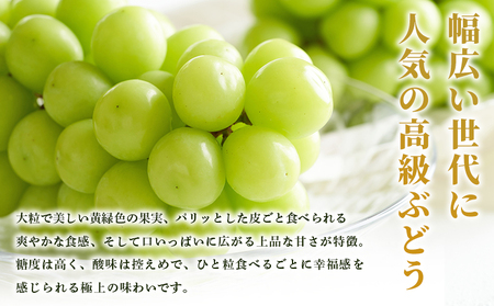＜シャインマスカット 約2kg＞ 果物 くだもの フルーツ ぶどう 葡萄 ブドウ シャインマスカット しゃいんますかっと 4～5房 大粒 糖度 極上 種なし 甘い 皮ごと 特産品 ファームNINOMI